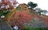 Туры в отель Otarunai Backpackers' Hostel MorinoKi