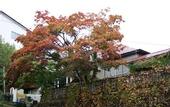 Туры в отель Otarunai Backpackers' Hostel MorinoKi