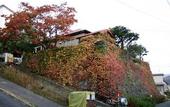 Туры в отель Otarunai Backpackers' Hostel MorinoKi