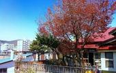 Туры в отель Otarunai Backpackers' Hostel MorinoKi