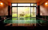 Туры в отель Hakuba Hotel Ougiya