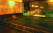 Туры в отель Hakuba Hotel Ougiya