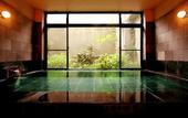 Туры в отель Hakuba Hotel Ougiya