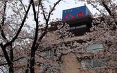 Туры в отель Hotel Hatta