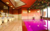 Туры в отель Hotel Hatta