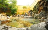 Туры в отель Hotel Hatta