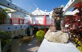 Туры в отель Surfside Bed & Breakfast