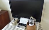 Туры в отель Surfside Bed & Breakfast
