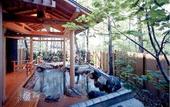 Туры в отель Hotel Tenbo