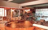Туры в отель Hotel Tenbo