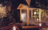 Туры в отель Hotel Tenbo