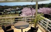 Туры в отель Resort Hotel Corte Largo Izukogen
