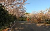 Туры в отель Resort Hotel Corte Largo Izukogen