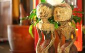 Туры в отель Resort Hotel Corte Largo Izukogen