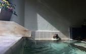 Туры в отель Yebisuya Ryokan