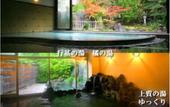 Туры в отель Yebisuya Ryokan