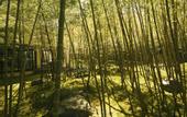 Туры в отель Yebisuya Ryokan
