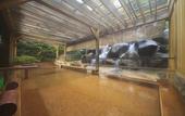 Туры в отель Mashikokan Satoyama Resort Hotel