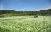 Туры в отель Mashikokan Satoyama Resort Hotel