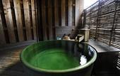 Туры в отель Ryokan Fukuzen
