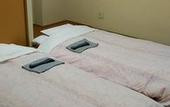 Туры в отель New Central Hotel Katsuta