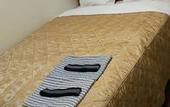 Туры в отель New Central Hotel Katsuta