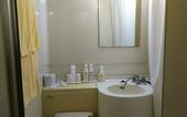Туры в отель New Central Hotel Katsuta