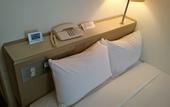Туры в отель Hotel Crown Hills Sagamihara