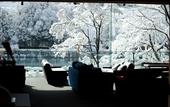 Туры в отель River Retreat GARAKU