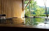 Туры в отель River Retreat GARAKU