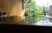 Туры в отель River Retreat GARAKU