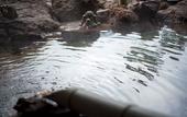 Туры в отель River Retreat GARAKU