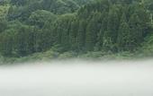 Туры в отель River Retreat GARAKU