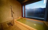 Туры в отель River Retreat GARAKU