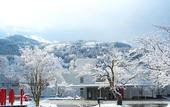 Туры в отель River Retreat GARAKU