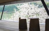 Туры в отель River Retreat GARAKU