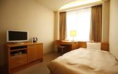 Туры в отель Hotel Grandvert GIZAN