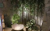 Туры в отель Hotel Grandvert GIZAN