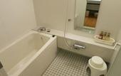 Туры в отель Hotel Grandvert GIZAN
