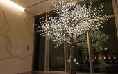 Туры в отель Piazza Hotel Nara