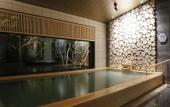 Туры в отель Nemu Resort Hotel Nemu