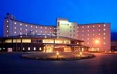 Туры в отель Kamenoi Hotel Aso