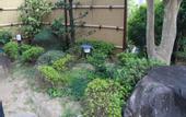 Туры в отель Hotel Saiyo Wakigawa
