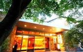 Туры в отель Yugawara Ohnoya Ryokan