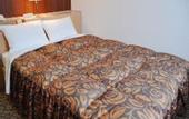 Туры в отель Hotel Castle Plaza