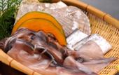 Туры в отель Senoumi
