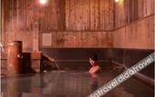 Туры в отель Ryokan Sakaya