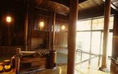 Туры в отель Ryokan Sakaya