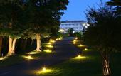 Туры в отель Southern Cross Resort