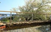 Туры в отель Kashikojima no yado Michishio
